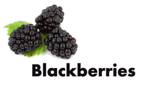 Blackberry - INS Fruit Series