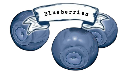 Blueberry - INS Fruit Series