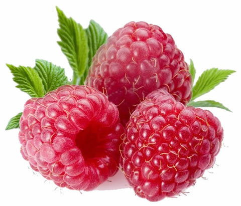 Raspberry - INS House Line - Fruits
