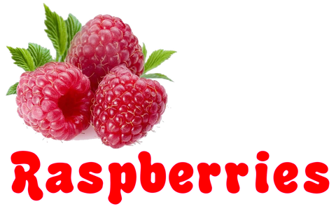 Raspberries - INS Fruit Series